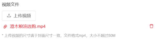 历史视频文件局部:红色文件名和删除入口;封面及视频文件状态另行核对。