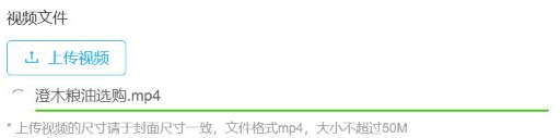 历史视频文件局部:文件名、绿色进度线及mp4与50M提示;不代播放通过。