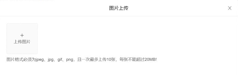 历史图片上传提示:格式、十张与20MB边界,未含上传完成结果。