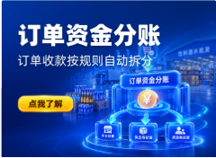 历史PC订单资金分账应用标题:只辨原业务,不能代本次实际支付、分录生成或银行到账。
