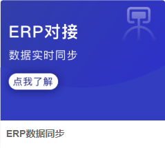 历史ERP数据同步应用局部，仅识别主题，不代当前连接成功。