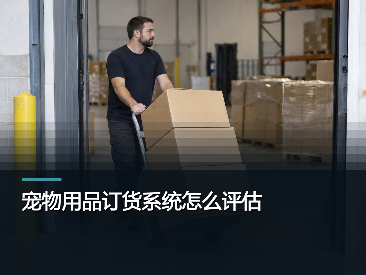 宠物用品订货系统怎么评估？