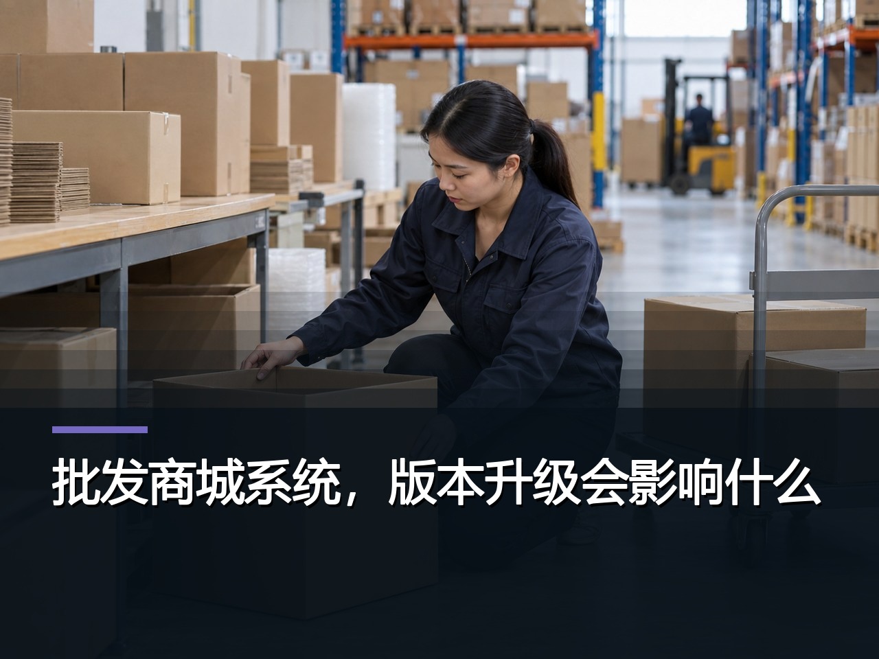 批发商城系统，版本升级会影响什么