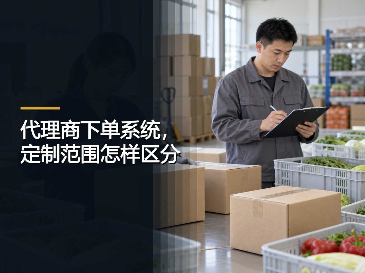 代理商下单系统，定制范围怎样区分